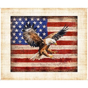 American Eagle Flaggen Panel aus der Patriot Kollektion von QT Fabrics Panel Zuschnitte von Quilter&#39;s Cotton Fabrics