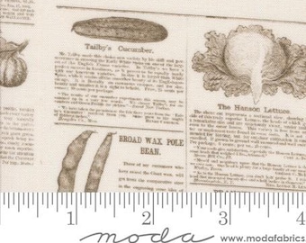 May include: A vintage newspaper print fabric featuring illustrations of vegetables and text about different types of produce, including Tailby's Cucumber, Broad Wax Pole Bean, and The Hanson Lettuce.