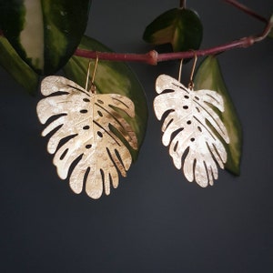 Beaten Brass, Gold Tempest 'Tropic' Large Monstera Leaf Hammered Statement Earrings, Made in Cornwall, Plastic Free. Bridal, Ready to Gift. image 5