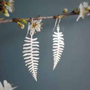 Silver Leaf 'Fern' Earrings, Hammered, Eco Friendly Stainless steel, Made in Cornwall. Plastic free Product, P&P, Ready to Gift.