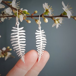 Silver Leaf 'Fern' Earrings, Hammered, Eco Friendly Stainless steel, Made in Cornwall. Plastic free Product, P&P, Ready to Gift. image 3