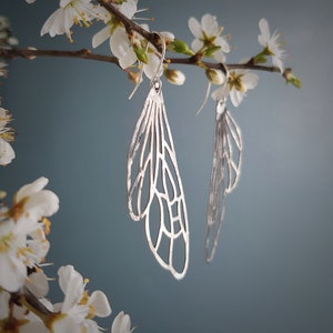 Op de afbeelding: Een paar zilverkleurige, open bewerkte oorbellen in de vorm van vleugels. De oorbellen hangen aan zilveren haken en worden gepresenteerd tegen een zachte blauwe achtergrond, met witte bloemen op de voorgrond.