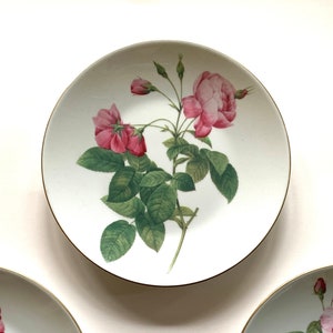 Limoges Rose Plates Hutschenreuther PJ Redoute Viktoria Rosa Galilca Officinalis Reclinata Flore Les Roses Philippe Deshoulieres Dish France