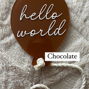 Acrylic Birth Announcement Sign Photo Prop Hospital Newborn New Baby Hello World Balloon image 9