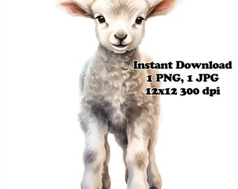 Baby Lamb Watercolor Sublimation PNG Commercial Use Sublimation Design 12 x 12 300 DPI Transparent Background Cute Baby Lamb PNG