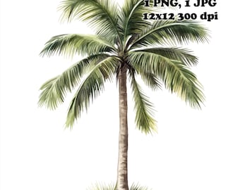 Op de afbeelding: Een aquarel van een groene palmboom met een bruine stam. De boom is geïsoleerd op een witte achtergrond.