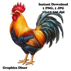 Watercolor Rooster Sublimation PNG Commercial Use Sublimation Design 12 x 12 300 DPI Transparent Background Rooster Sublimation design
