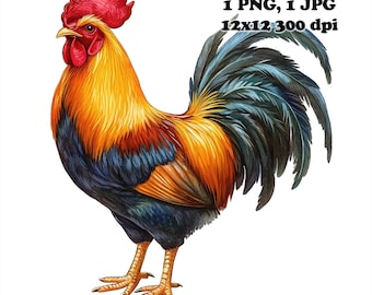 Gallo de acuarela sublimación PNG uso comercial diseño de sublimación 12 x 12 300 DPI fondo transparente diseño de sublimación de gallo