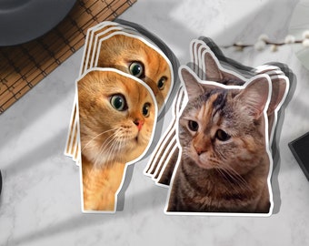 Sad Cat Meme, Cute Cat Sticker, Meme sticker , Cat Meme, Cute Cat Meme