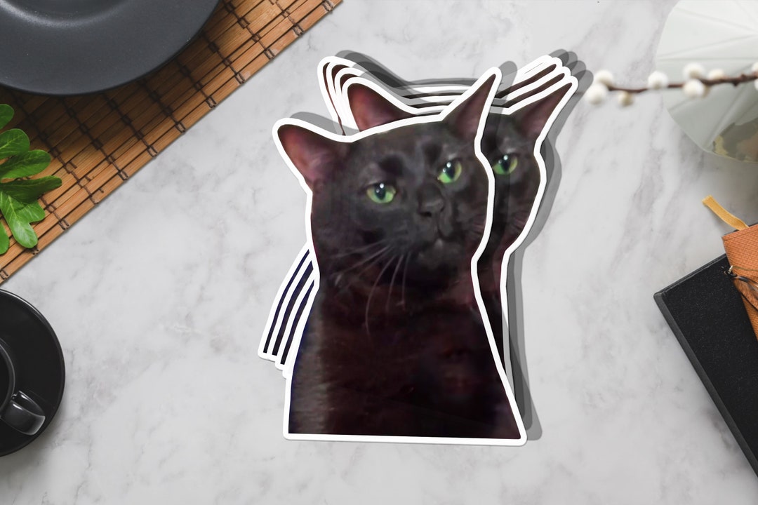 Black Cat Meme, Zoning Out Black Cat Sticker, Black Cat Sticker , Cat Black Cat Meme, Zoning Out Black Cat Sticker, Black Cat Sticker , Cat