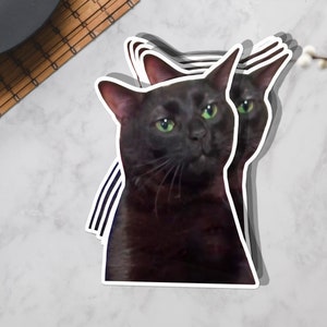 Black Cat Meme, Zoning Out Black Cat Sticker, black cat sticker , Cat Meme, Cute Cat Meme