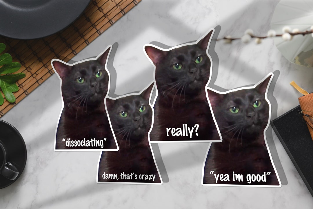 Black Cat Meme, Zoning Out Cat Sticker, Cat Meme, Funny Cat Meme Etsy Black Cat Meme, Zoning Out Cat Sticker, Cat Meme, Funny Cat Meme Etsy