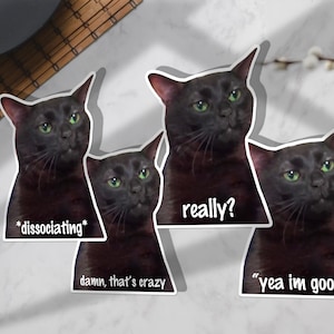 Funny Cat Stickers cat Meme Stickers For Cat Lovers funny - Temu