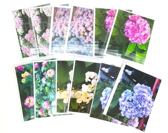 Originele hortensia fotokaarten - Set van twaalf 5-12 x 4-1/4 inch met enveloppen - Ansichtkaartencadeauset voor haar