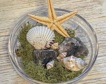 Smokey Quartz Crystal Beach Garden - Mini Glass - Healing Boho Fairy Garden Terrarium