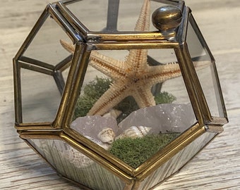 Rose Quartz Crystal Glass Terrarium - Small Geometric Shape Box - Fairy Garden Beach Theme