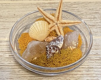 Citrine Crystal Beach Garden - Mini Glass - Healing Boho Fairy Garden Terrarium