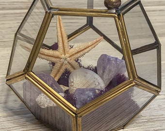 Amethyst Crystal Glass Terrarium - Geometric Shape Box - Fairy Garden Beach Theme