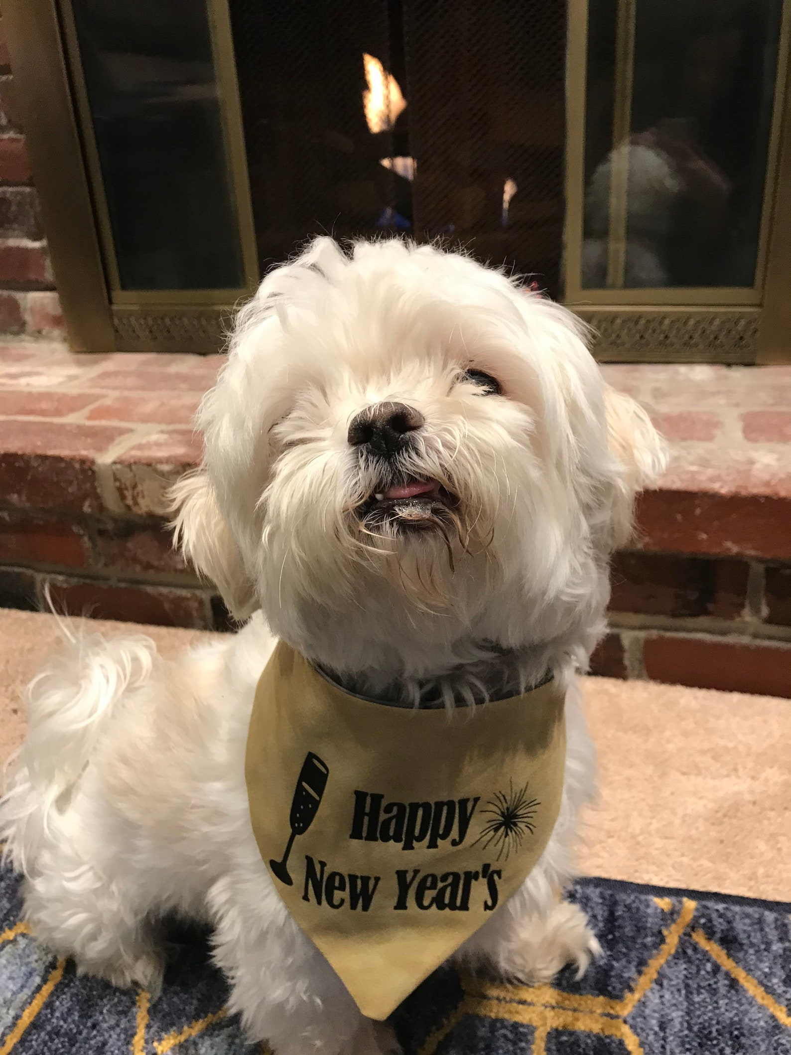 Happy New Year’s Reversible Dog Bandana | Etsy