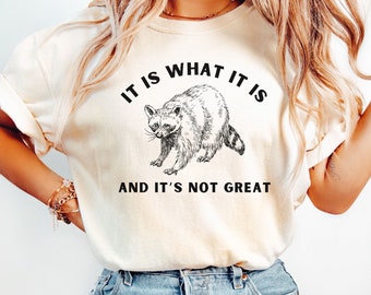 Comfort Colors® Raccoon Shirt, It is What It is and It's Not Great Shirt, Funny Raccoon Shirt, Raccoon Meme Shirt, Funny Meme Graphic Tees
