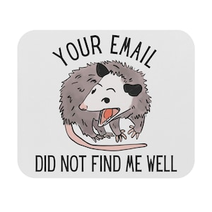 May include: A white background with a cartoon possum with a black nose and eyes. The possum is saying "Your email did not find me well".