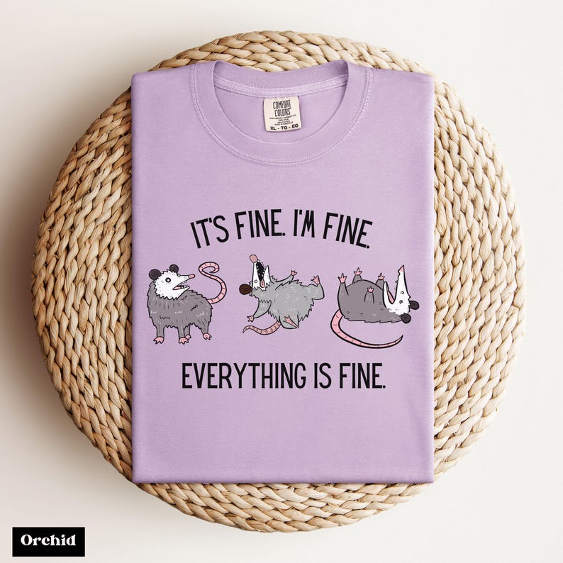 Puede incluir: Una camiseta lavanda con un gr&aacute;fico de tres zarig&uuml;eyas y el texto "Est&aacute; bien. Estoy bien. Todo est&aacute; bien."