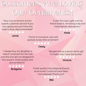 May include: Customers are loving these ornaments!  A pink background with customer reviews and star ratings.  The reviews highlight the quality, shipping, and customer service.  The text reads: "Customers Are Loving Our Ornaments!"