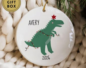 Personalized Dinosaur Christmas Ornaments for Kids, Customized Dinosaur Christmas Gift For Grandson, Grandkids Christmas Keepsake