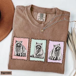 Op de afbeelding: Espresso-kleurig T-shirt met drie wasbeerillustraties in decoratieve kaders. Elke wasbeer wordt in een andere pose afgebeeld tegen een achtergrond van verticale strepen in rood, mintgroen en paars.