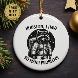 Raccoon Christmas Ornament, Houston I Have So Many Problems, Funny Raccoon Ornament, Raccoon Decor, Raccoon Gift for Friend, Meme Ornament