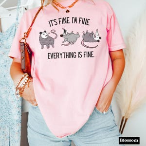 Puede incluir: Camiseta rosa con un gr&aacute;fico de tres zarig&uuml;eyas y el texto "Est&aacute; bien. Estoy bien. Todo est&aacute; bien."