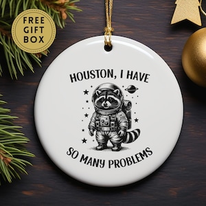 Raccoon Christmas Ornament, Houston I Have So Many Problems, Funny Raccoon Ornament, Raccoon Decor, Raccoon Gift for Friend, Meme Ornament