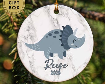 Personalized Dinosaur Christmas Ornaments for Kids, Customized Dinosaur Christmas Gift For Grandson, Grandkids Christmas Keepsake