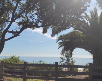 Könnte beinhalten: Ein Blick auf das Meer durch einen Holzzaun mit Bäumen im Vordergrund. Der Himmel ist blau und es gibt weiße Wolken.