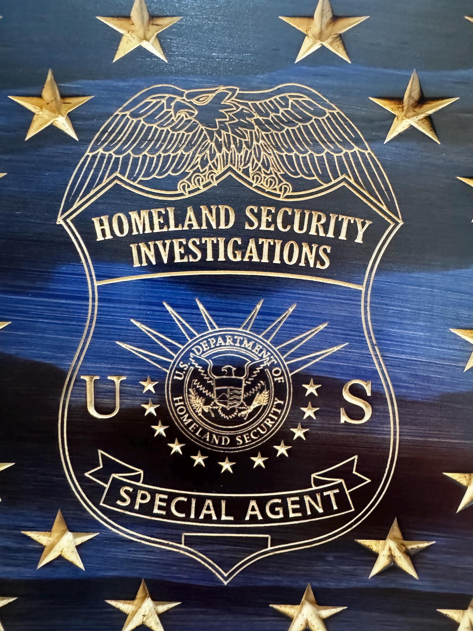 HSI Challenge Coin Holder, Homeland Security Coin Display, HSI Special ...