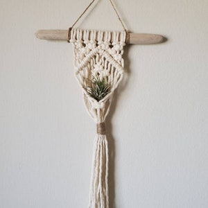 Macrame air plant pocket- airplant hanging-display- beautiful-boho-chic-minimalistic cotton/ simple/ unique/ gift/friends/family/nursery