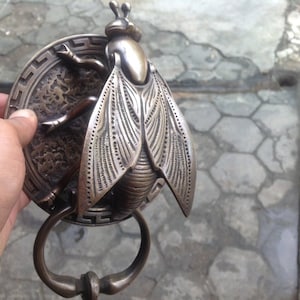 9.05" inches Solid Brass Unique Flies | Fly | Bugs Animal Front Door Knocker Cast Solid Brass