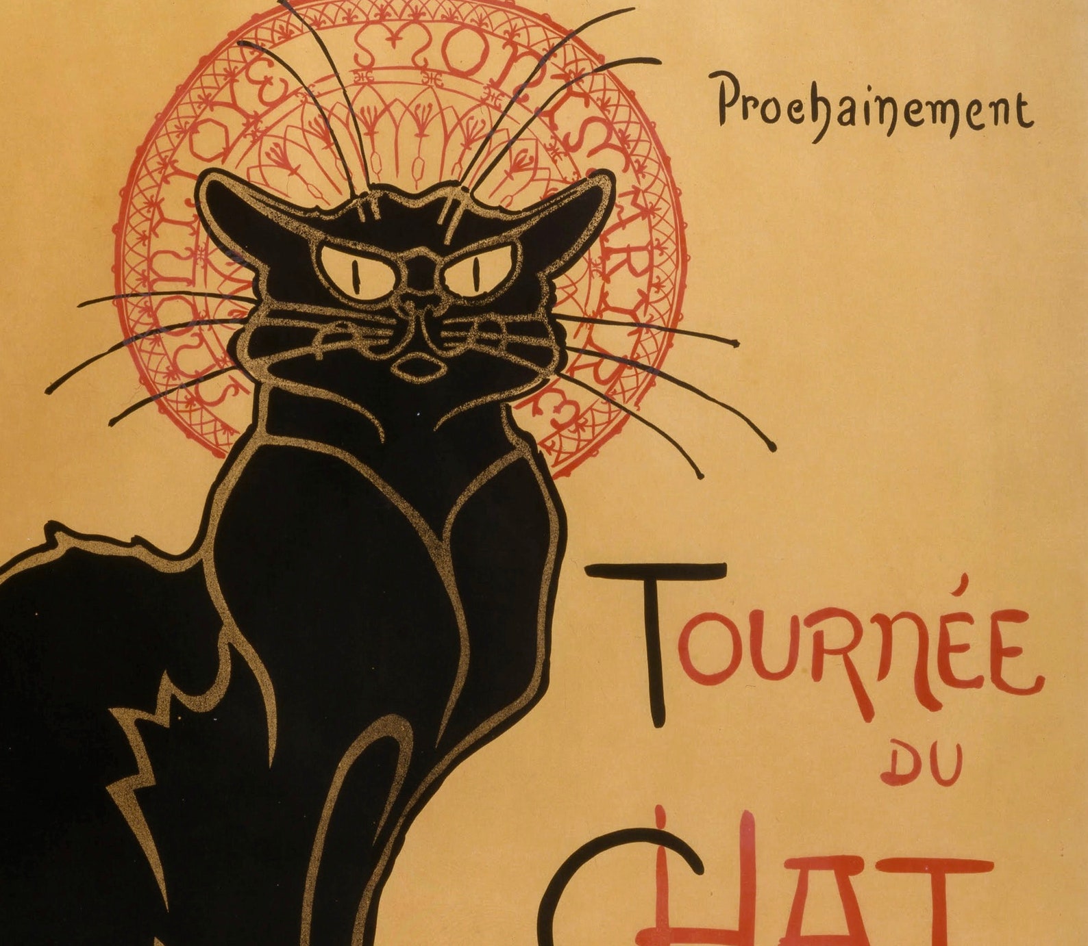 Chat Noir Tournee
