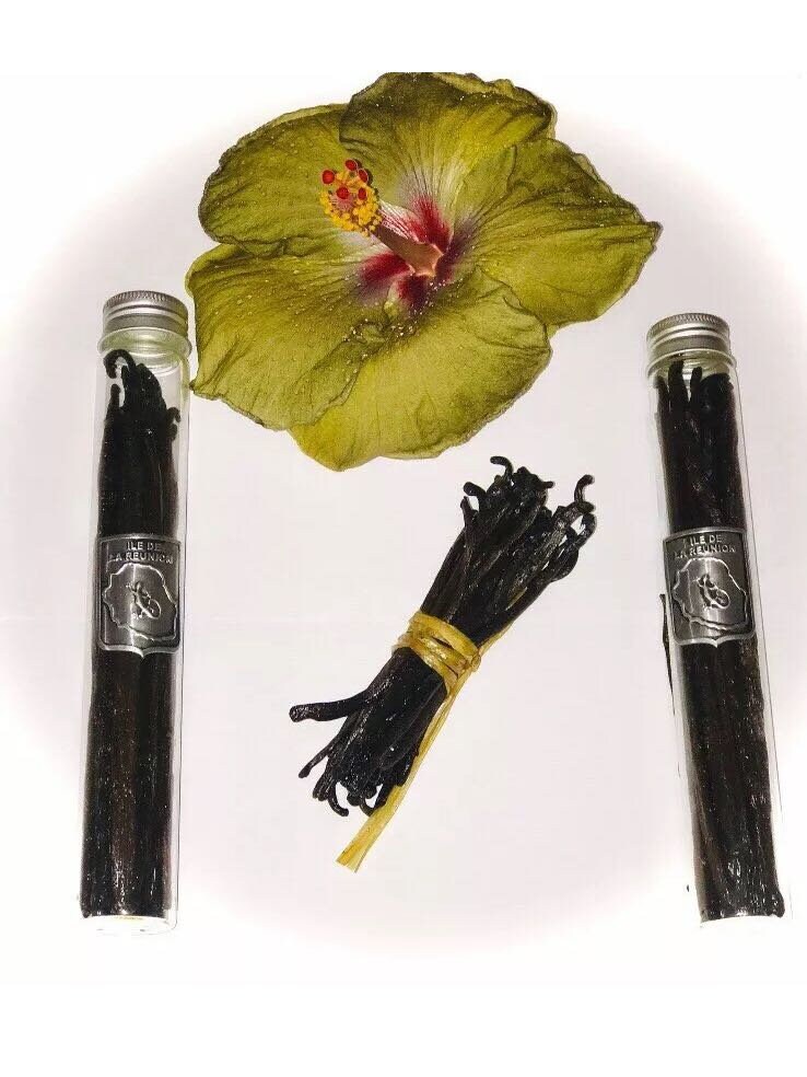 10 Gousse Vanille de Madagascar Qualité Premium | Bouture Vanille Offerte