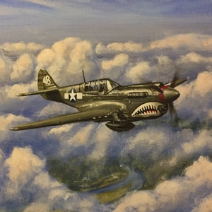 40s B-15 AAF 陸軍航空隊 レアPX品 ペイントアート WWⅡ 実物◎ il_300x300.3856175019_e6kw.jpg