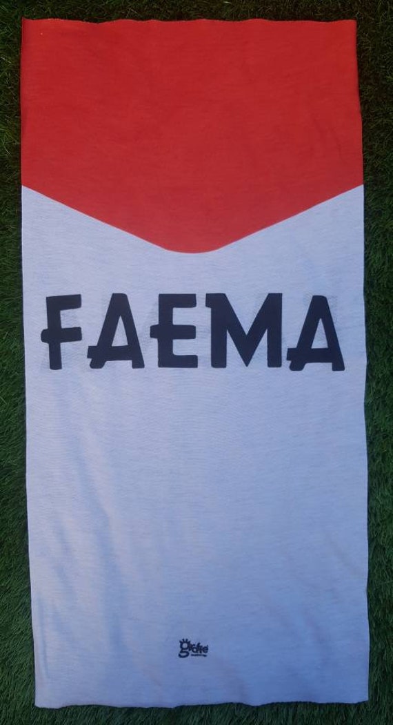Faema cycling best sale jersey