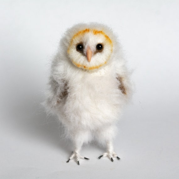 Baby Barn Owl Needle Felted Baby Barn Owl Needle Felted Barn Etsy