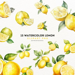 Aquarell Zitrone Clipart - 15 Aquarell Zitronen png - Zitronen Zweig Clipart - Zitronen Kranz - Zitronen Blumen, Blumen Clipart, digitale Clipart PNG