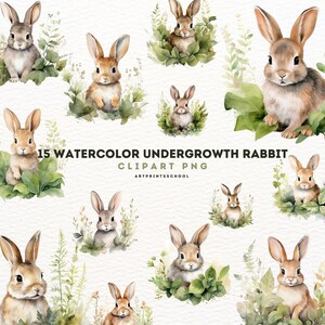 Undergrowth Rabbits Clipart - Watercolor 15 High Quality PNG, Memory Book, Scrapbook, Digital Planner, Commercial Use, Digital Download