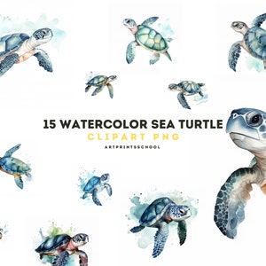 Aquarell Meeresschildkröte Clipart, 15 niedliche nautische Ozean Tiere PNG ClipArt, Aquarell ClipArt, Kartenherstellung, Bundle kommerzielle