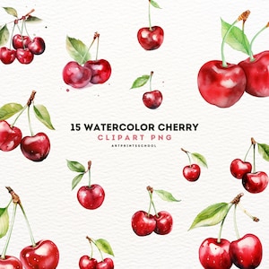 Clipart de cereja aquarela, 15 PNG de alta qualidade, uso comercial, download instantâneo, cerejas frescas, frutas de verão, confecção de cartões, álbum de recortes