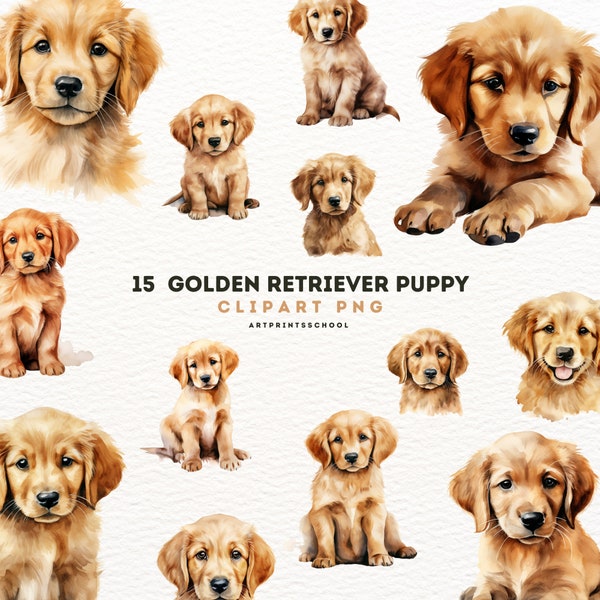 Golden Retriever Puppy Clipart - 15 High Quality PNG - Watercolor, Printable Art, Card Making, Wall Art, Commercial Use - Digital Download