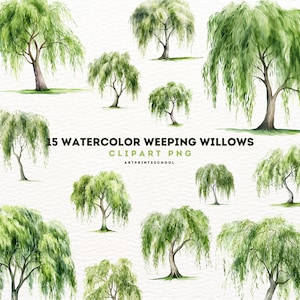 Watercolor Weeping Willow Clipart Bundle: 15 PNG Files (Digital Download)