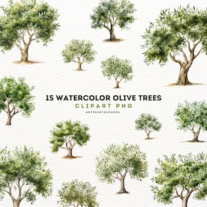Clipart de oliveiras, 15 aquarela PNG de alta qualidade, arte botânica, download digital, confecção de cartões, registro no diário, artesanato em papel digital