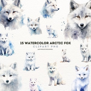 Arctic Fox Clipart Bundle, 15 Watercolor  High Quality PNG | Digital Planner, Junk journal, Nursery Decor, Digital Download, Commercial Use